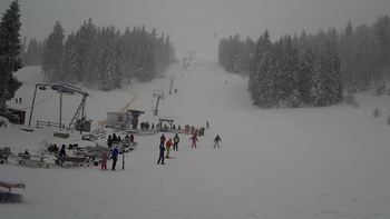 Захар Беркут 22 січня 2022 року, 2022-01-22 13:00
