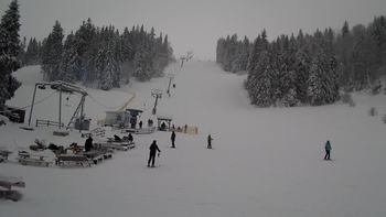 Захар Беркут 25 січня 2022 року, 2022-01-25 13:00