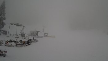 Захар Беркут 26 січня 2022 року, 2022-01-26 10:00