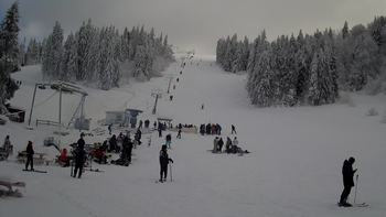 Захар Беркут 29 січня 2022 року, 2022-01-29 13:00