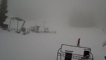 Захар Беркут 8 березня 2023 року, 2023-03-08 13:00