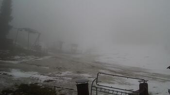 Захар Беркут 25 березня 2023 року, 2023-03-25 13:00