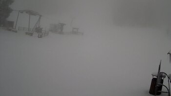 Захар Беркут 20 березня 2024 року, 2024-03-20 10:00