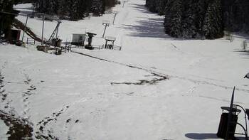 Захар Беркут 25 березня 2024 року, 2024-03-25 13:00