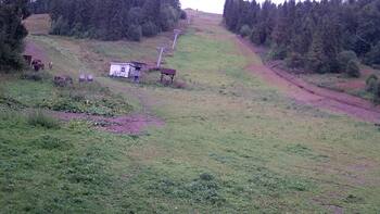 Захар Беркут 22 серпня 2025 року, 2025-08-22 13:00