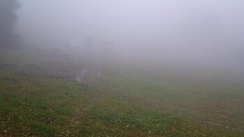 Zakhar Berkut 24 october 2025 year, 2025-10-24 13:00