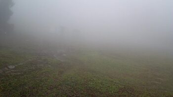 Захар Беркут 12 листопада 2025 року, 2025-11-12 13:00