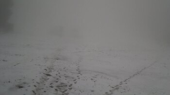 Захар Беркут 27 листопада 2025 року, 2025-11-27 10:00