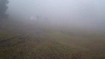 Zakhar Berkut 18 december 2025 year 16:00