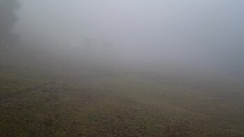 Захар Беркут 22 грудня 2025 року, 2025-12-22 13:00