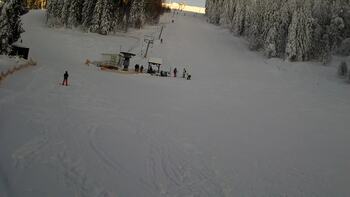 Zachar Berkut 17 styczeń 2026 rok, 2026-01-17 16:00