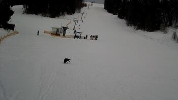 Захар Беркут 25 січня 2026 року, 2026-01-25 13:00