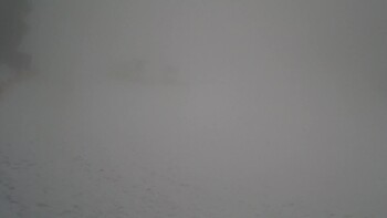 Захар Беркут 8 лютого 2026 року, 2026-02-08 10:00