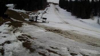 Захар Беркут 17 березня 2026 року, 2026-03-17 13:00