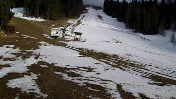 Захар Беркут 20 березня 2026 року, 2026-03-20 16:00