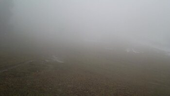 Zakhar Berkut 31 march 2026 year, 2026-03-31 16:00