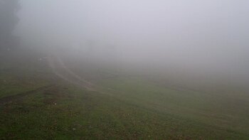 Захар Беркут 20 квітня 2026 року, 2026-04-20 13:00