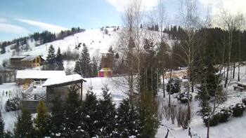 Ізкі 17 січня 2024 року, 2024-01-17 13:00