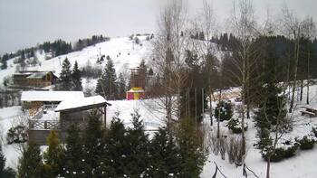 Ізкі 23 січня 2024 року, 2024-01-23 13:00