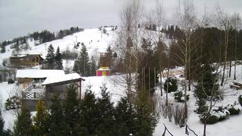 Ізкі 25 січня 2024 року, 2024-01-25 13:00