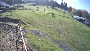 Ізкі 1 листопада 2025 року, 2025-11-01 13:00