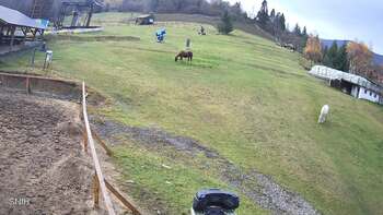 Izki 3 november 2025 year 10:00