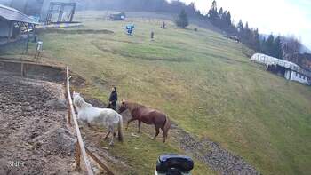 Ізкі 14 листопада 2025 року, 2025-11-14 10:00