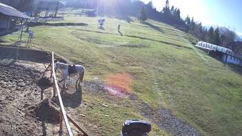 Ізкі 14 листопада 2025 року, 2025-11-14 13:00