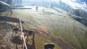 Ізкі 19 листопада 2025 року, 2025-11-19 13:00