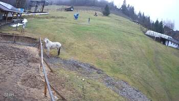 Ізкі 3 грудня 2025 року, 2025-12-03 13:00