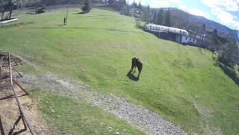 Izki 24 april 2026 year, 2026-04-24 16:00