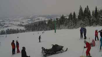 Маґура 24 січня 2019 року, 2019-01-24 13:00