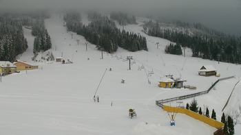 Плай 8 грудня 2017 року, 2017-12-08 10:00