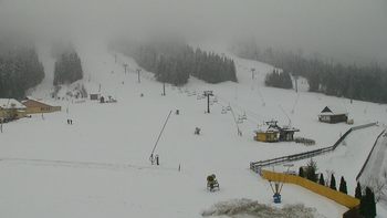 Плай 9 грудня 2017 року, 2017-12-09 13:00