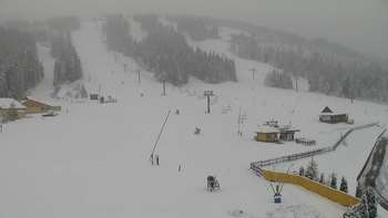 Плай 16 грудня 2017 року, 2017-12-16 13:00