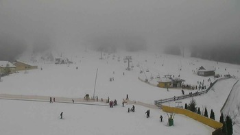 Плай 17 січня 2018 року, 2018-01-17 13:00
