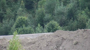 Плай 5 серпня 2018 року, 2018-08-05 16:00