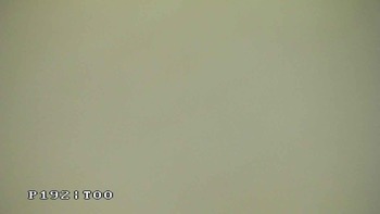 Плай 8 серпня 2018 року, 2018-08-08 10:00