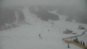 Плай 8 грудня 2018 року, 2018-12-08 16:00