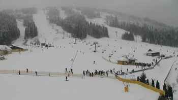 Плай 8 січня 2019 року, 2019-01-08 13:00