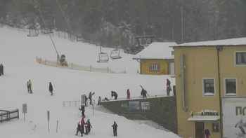 Плай 16 січня 2019 року, 2019-01-16 13:00