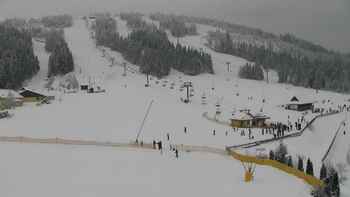 Плай 22 січня 2019 року, 2019-01-22 13:00