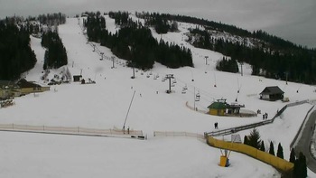 Плай 7 березня 2019 року, 2019-03-07 10:00
