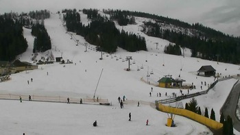 Плай 8 березня 2019 року, 2019-03-08 13:00