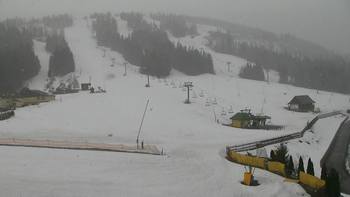 Плай 11 березня 2019 року, 2019-03-11 10:00