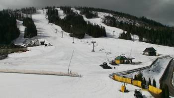 Плай 11 березня 2019 року, 2019-03-11 13:00