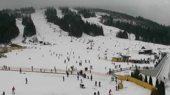 Плай 11 січня 2020 року, 2020-01-11 13:00