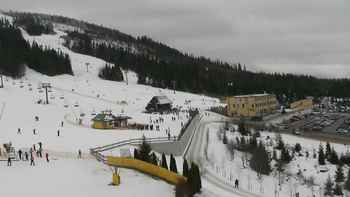 Плай 20 січня 2020 року, 2020-01-20 13:00