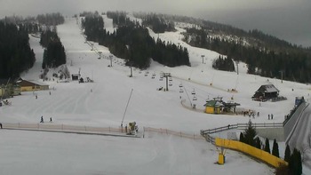 Плай 21 січня 2020 року, 2020-01-21 10:00