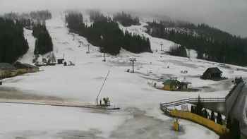Плай 4 березня 2020 року, 2020-03-04 10:00